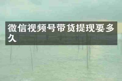 微信视频号带货提现要多久