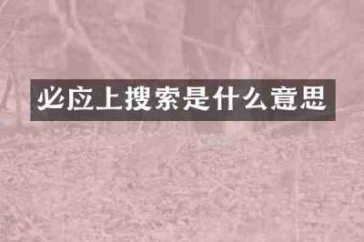 必应上搜索是什么意思