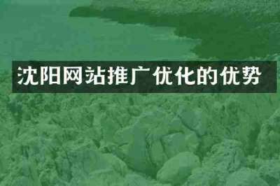 沈阳网站推广优化的优势