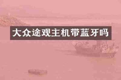 大众途观主机带蓝牙吗