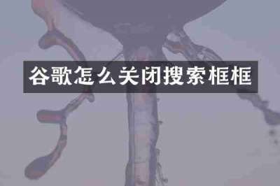 谷歌怎么关闭搜索框框