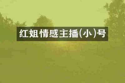 红姐情感主播(小)号