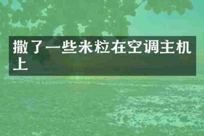 撒了一些米粒在空调主机上