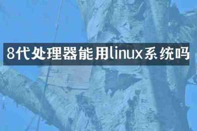8代处理器能用linux系统吗