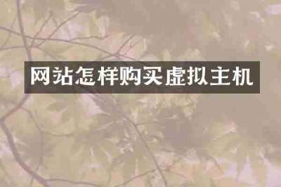 网站怎样购买虚拟主机