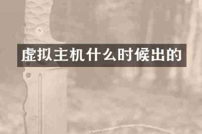 虚拟主机什么时候出的