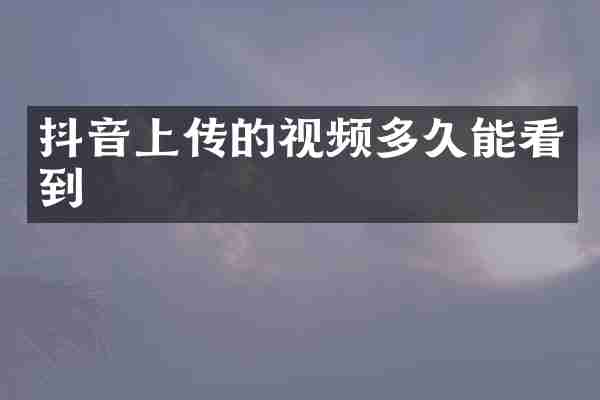 抖音上传的视频多久能看到