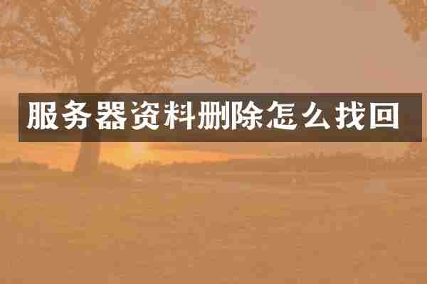 服务器资料删除怎么找回