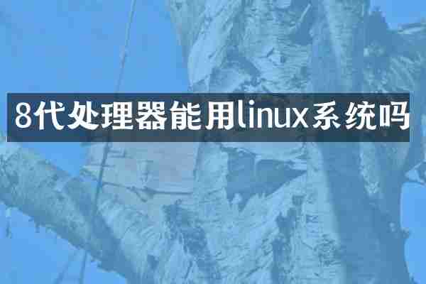 8代处理器能用linux系统吗