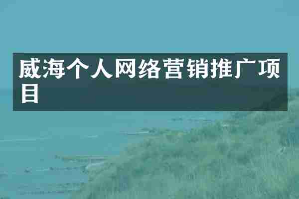 威海个人网络营销推广项目