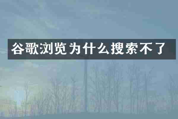 谷歌浏览为什么搜索不了