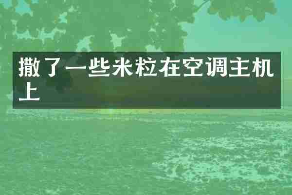 撒了一些米粒在空调主机上