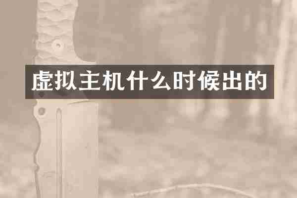 虚拟主机什么时候出的