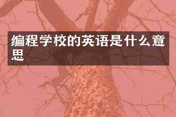 编程学校的英语是什么意思