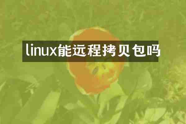 linux能远程拷贝包吗