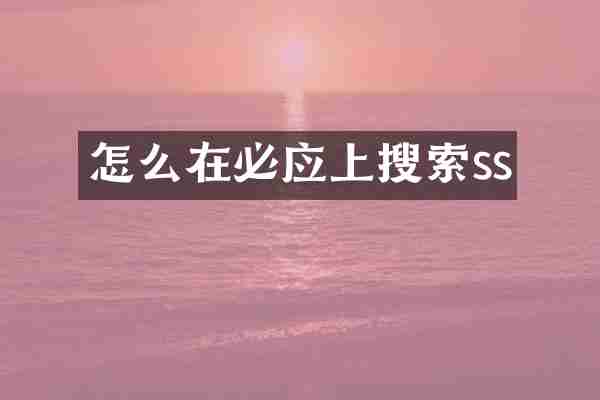 怎么在必应上搜索ss