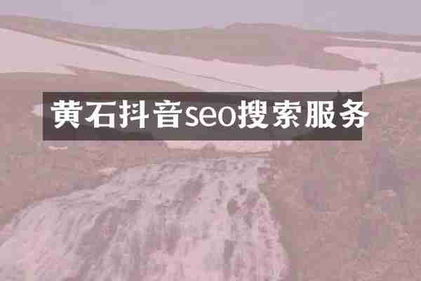 黄石抖音seo搜索服务