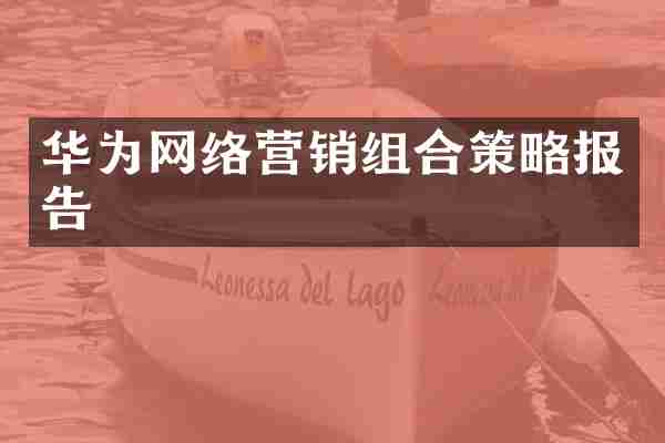华为网络营销组合策略报告