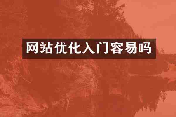网站优化入门容易吗