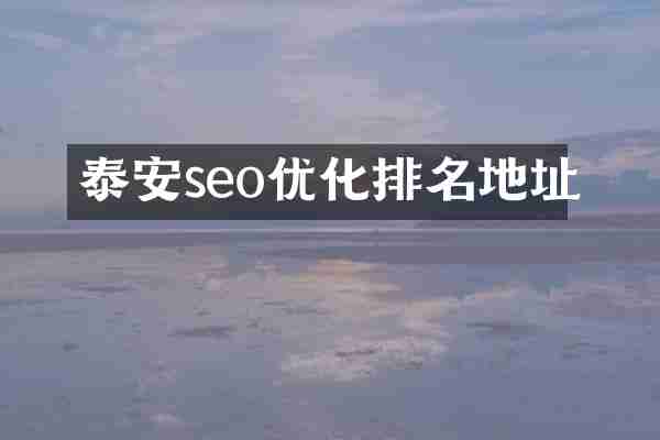 泰安seo优化排名地址