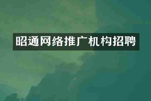 昭通网络推广机构招聘