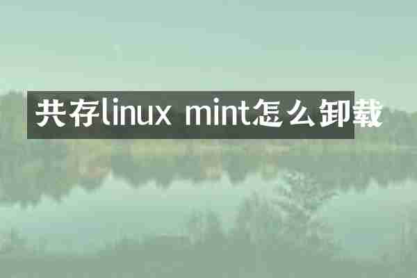 共存linux mint怎么卸载