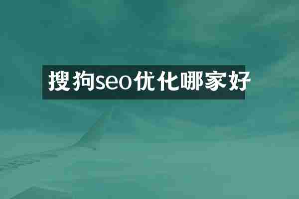 搜狗seo优化哪家好