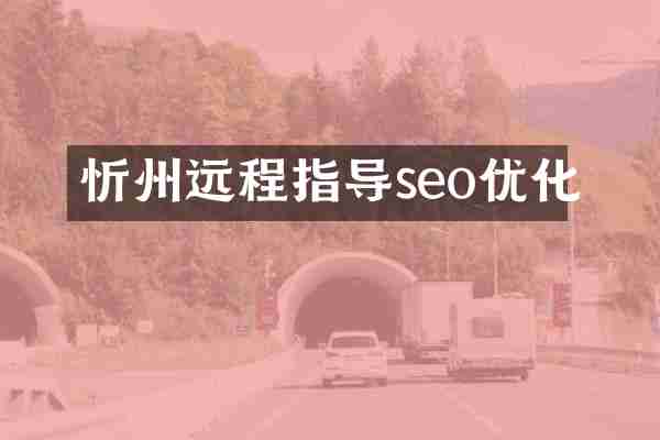 忻州远程指导seo优化