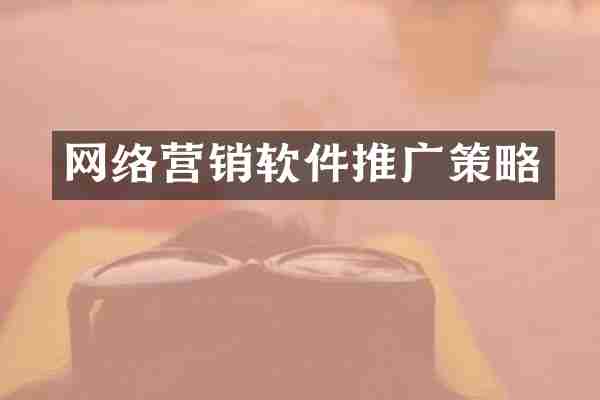网络营销软件推广策略
