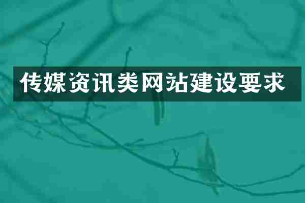传媒资讯类网站建设要求