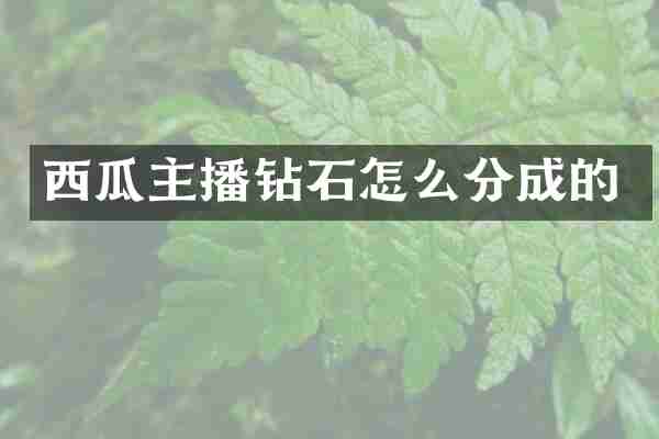 西瓜主播钻石怎么分成的