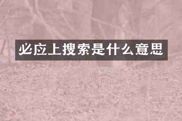 必应上搜索是什么意思