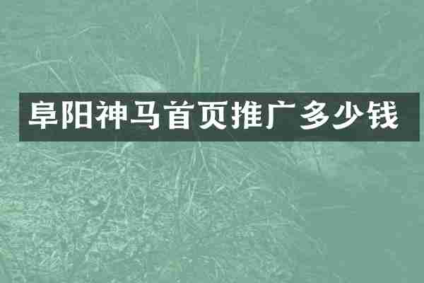 阜阳神马首页推广多少钱