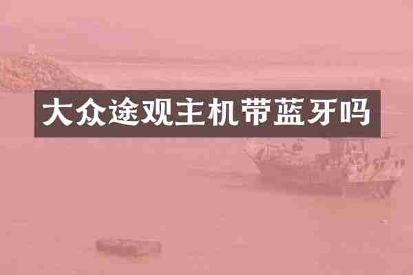大众途观主机带蓝牙吗