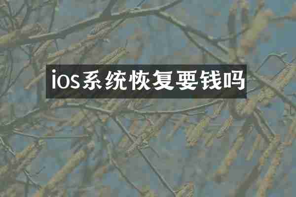 ios系统恢复要钱吗