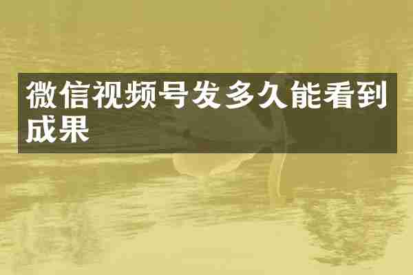 微信视频号发多久能看到成果