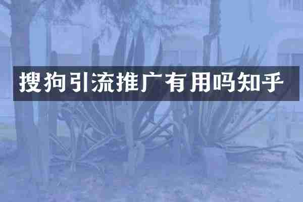 搜狗引流推广有用吗知乎