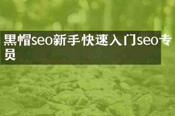 黑帽seo新手快速入门seo专员