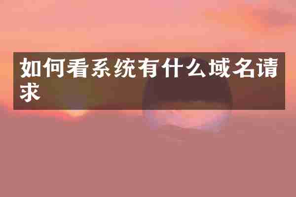 如何看系统有什么域名请求