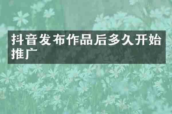 抖音发布作品后多久开始推广