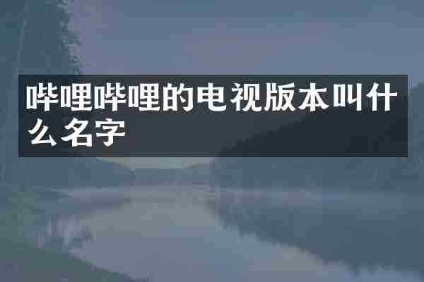 哔哩哔哩的电视版本叫什么名字