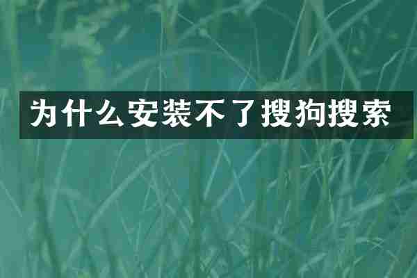 为什么安装不了搜狗搜索