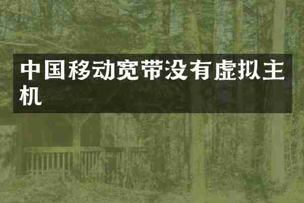 中国移动宽带没有虚拟主机