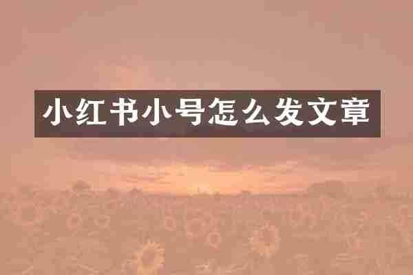 小红书小号怎么发文章