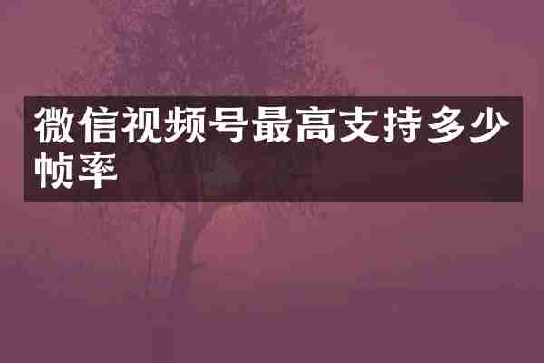 微信视频号最高支持多少帧率
