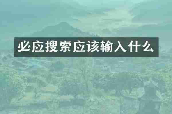 必应搜索应该输入什么