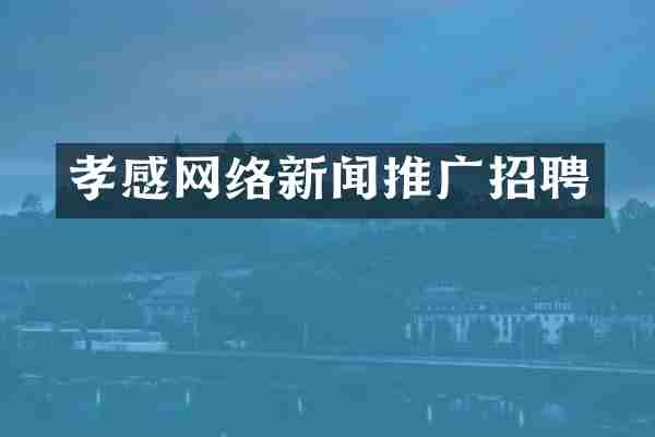 孝感网络新闻推广招聘