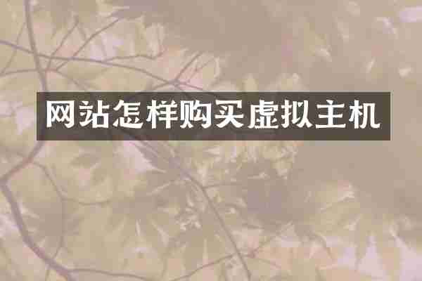 网站怎样购买虚拟主机