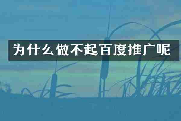 为什么做不起百度推广呢