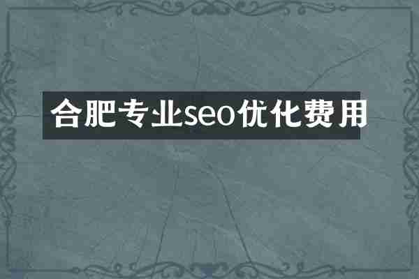 合肥专业seo优化费用